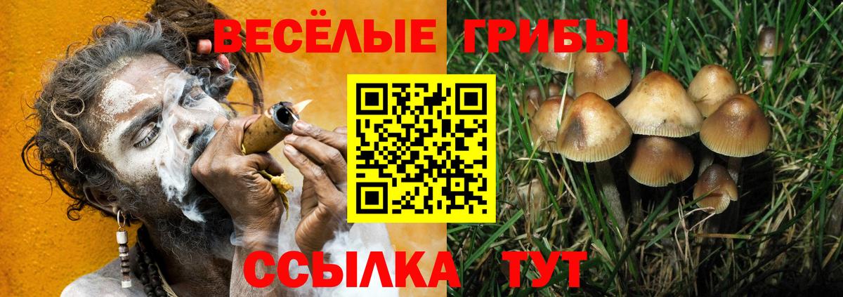 Галлюциногенные грибы GOLDEN TEACHER Буйнакск