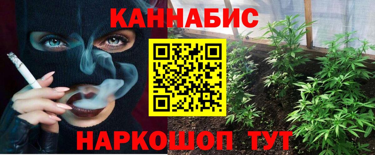 Бошки марихуана марихуана Буйнакск